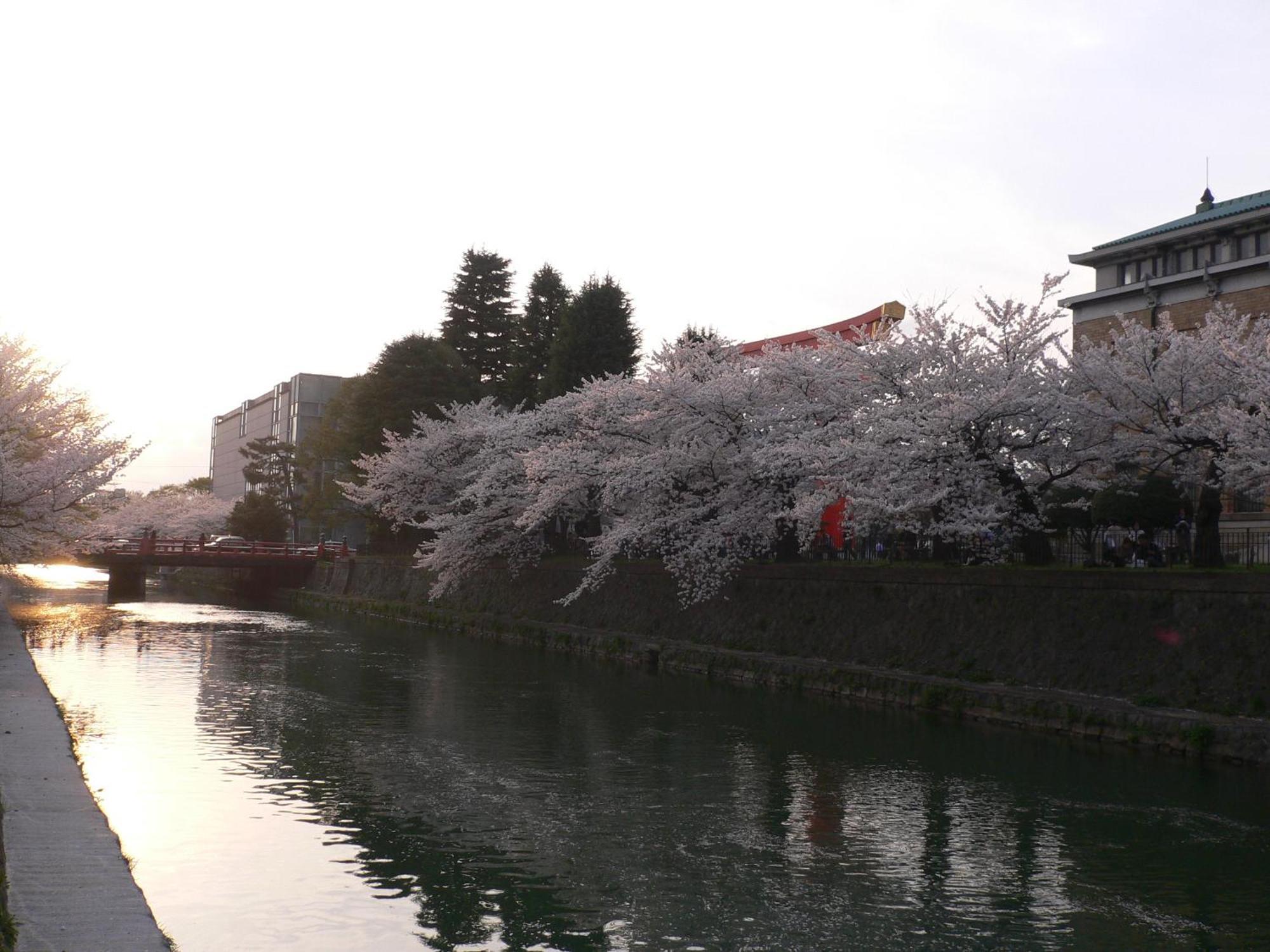 Kyoto Travellers Inn Zewnętrze zdjęcie